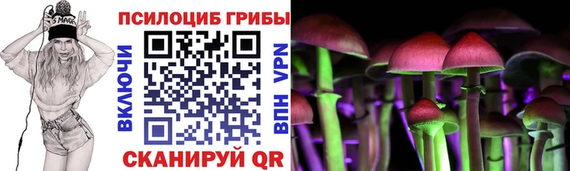 Псилоцибиновые грибы Psilocybe  дарнет шоп  Славянск-на-Кубани 